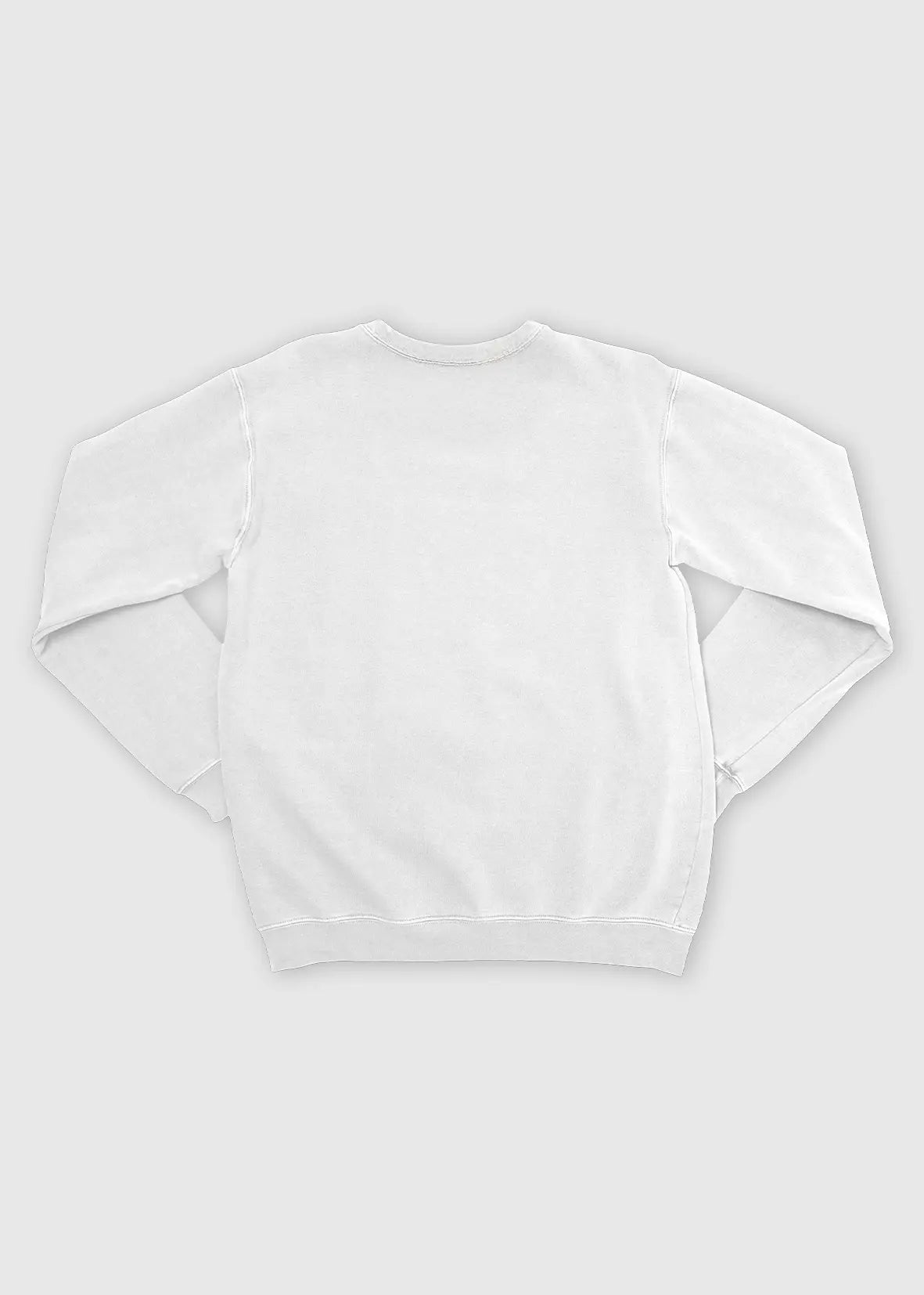 Sweatshirt, Men - White, Back